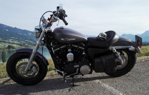 Sacoche Myleatherbikes Harley Sportster_64